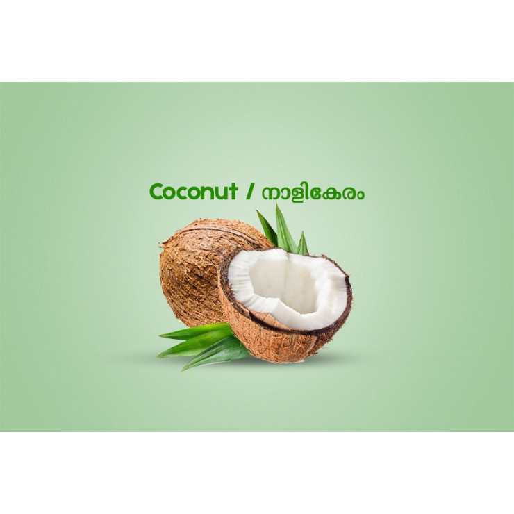 Coconut / നാളികേരം - 1.00 kg